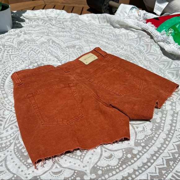 Corduroy AG-ED denim shorts - Picture 4 of 8